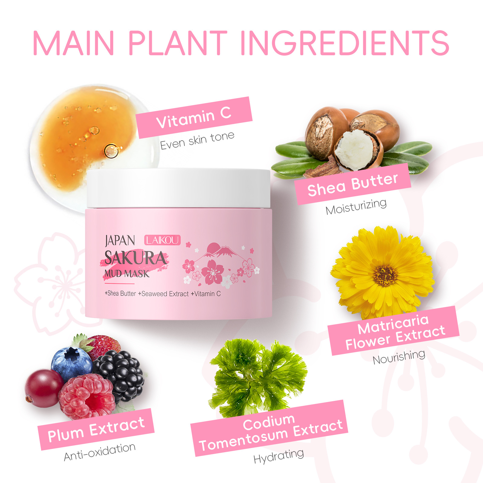 LAIKOU Sakura Clay Mask 25g 90 - Dust Mask Construction 评论和价格